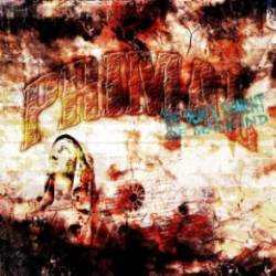 The Demolishment of Mankind